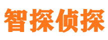 长清市婚外情调查